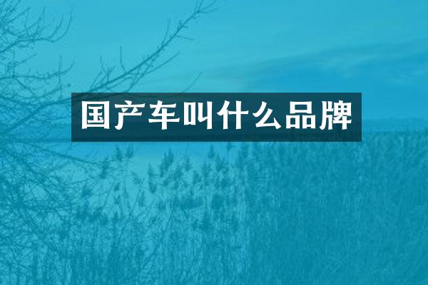 国产车叫什么品牌