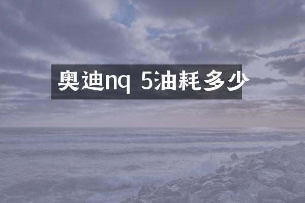 奥迪nq 5油耗多少