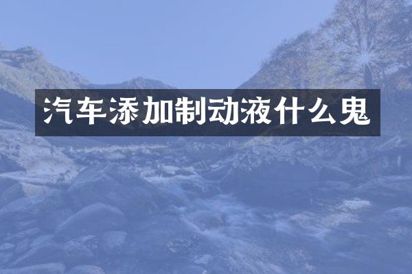 汽车添加制动液什么鬼
