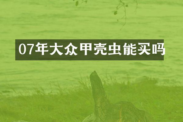 07年大众甲壳虫能买吗