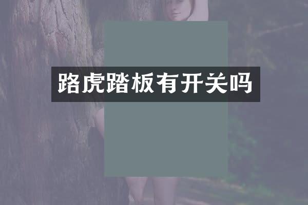 路虎踏板有开关吗