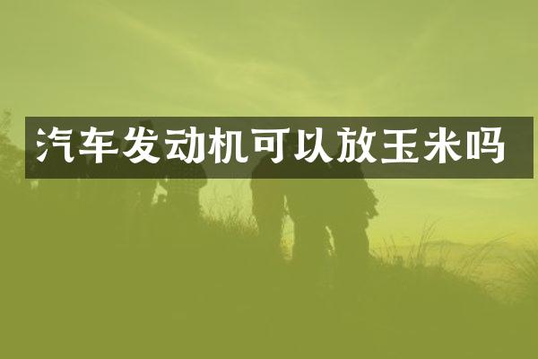 汽车发动机可以放玉米吗