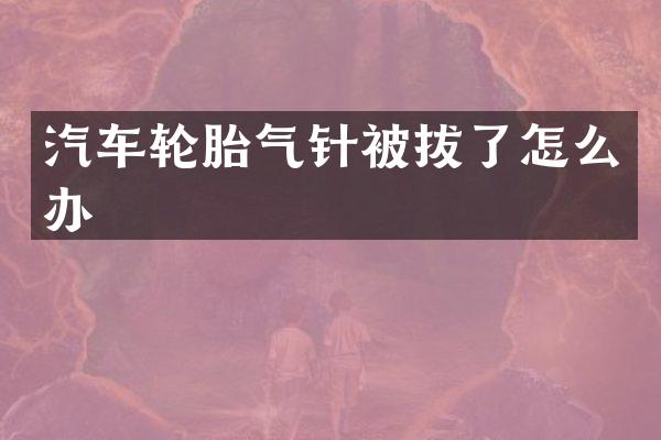汽车轮胎气针被拔了怎么办
