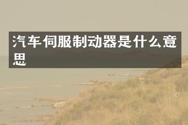 汽车伺服制动器是什么意思