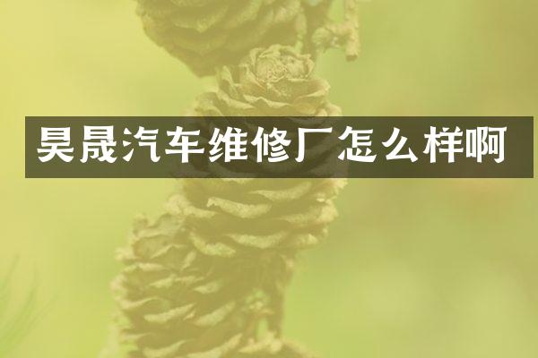 昊晟汽车维修厂怎么样啊