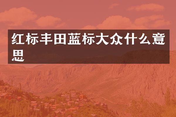 红标丰田蓝标大众什么意思