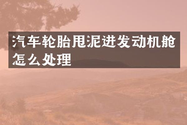汽车轮胎甩泥进发动机舱怎么处理