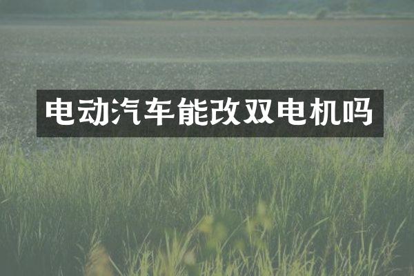 电动汽车能改双电机吗