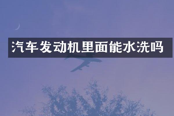 汽车发动机里面能水洗吗