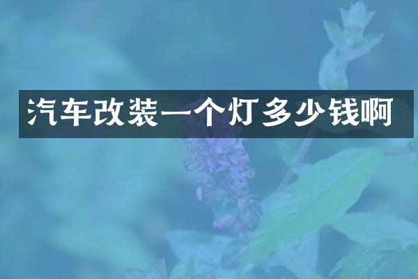 汽车改装一个灯多少钱啊