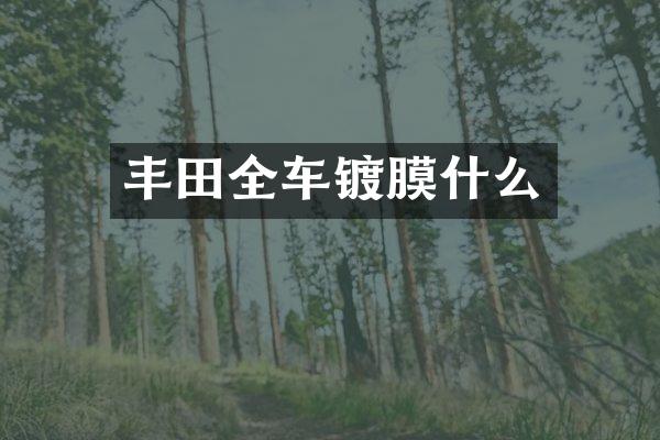 丰田全车镀膜什么