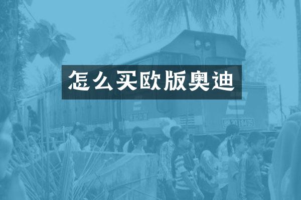 怎么买欧版奥迪