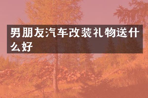男朋友汽车改装礼物送什么好