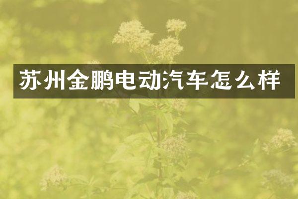 苏州金鹏电动汽车怎么样
