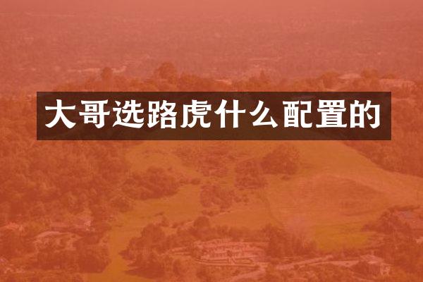 大哥选路虎什么配置的