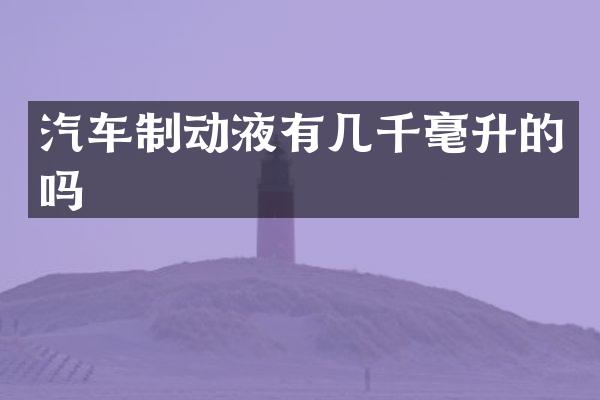 汽车制动液有几千毫升的吗