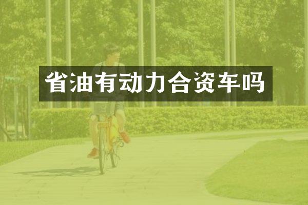 省油有动力合资车吗