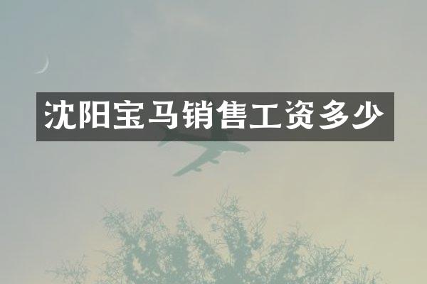 沈阳宝马销售工资多少