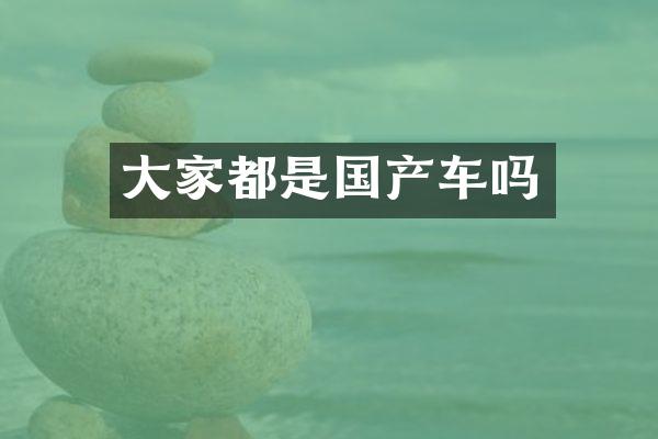 大家都是国产车吗