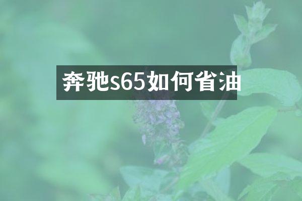 奔驰s65如何省油