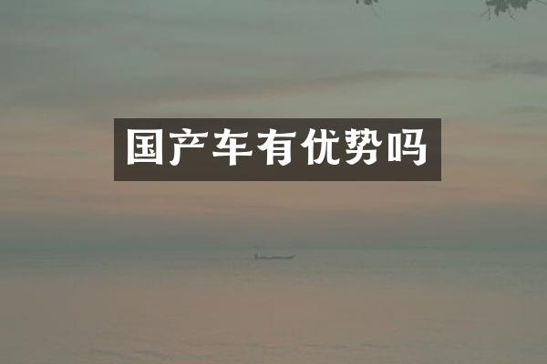 国产车有优势吗