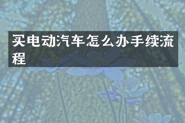 买电动汽车怎么办手续流程