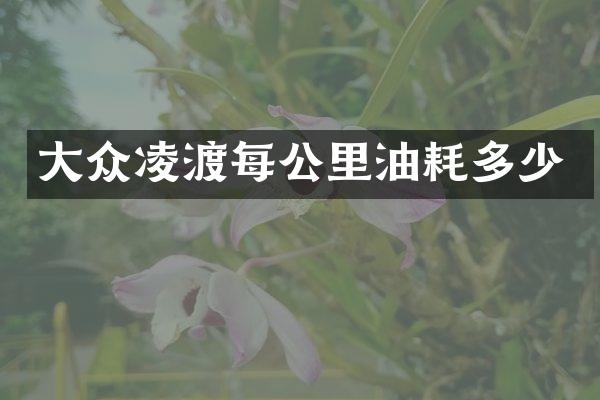 大众凌渡每公里油耗多少