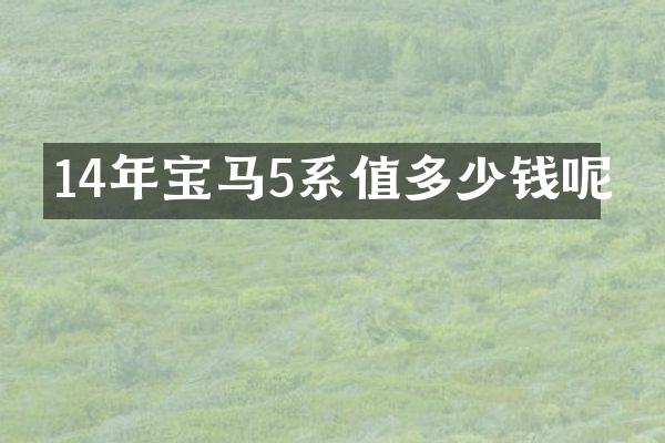 14年宝马5系值多少钱呢