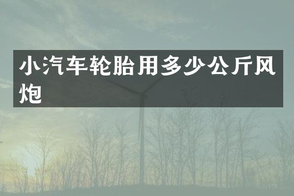 小汽车轮胎用多少公斤风炮