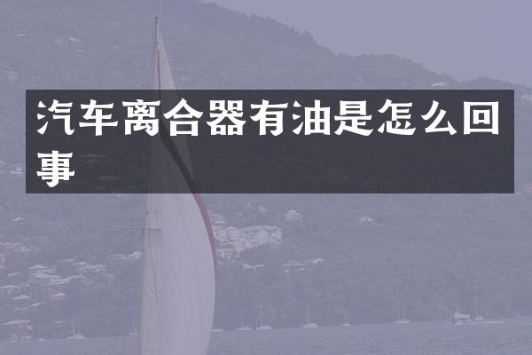 汽车离合器有油是怎么回事