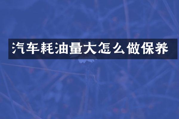 汽车耗油量大怎么做保养