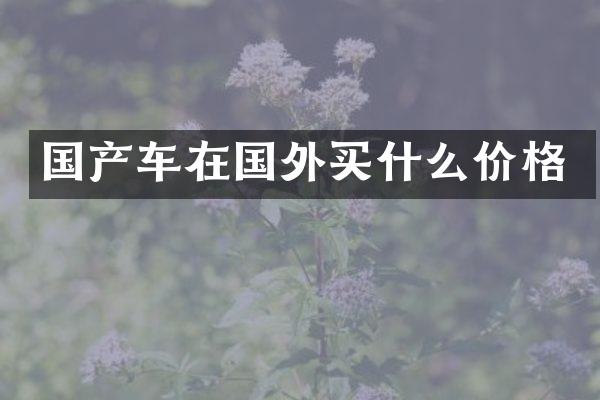 国产车在国外买什么价格