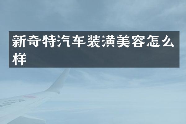 新奇特汽车装潢美容怎么样