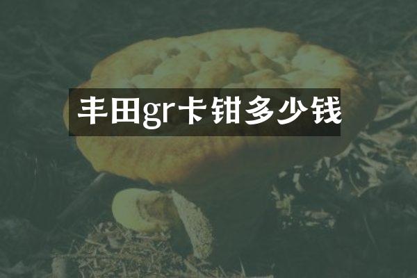 丰田gr卡钳多少钱