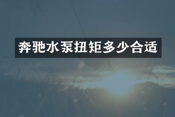 奔驰水泵扭矩多少合适
