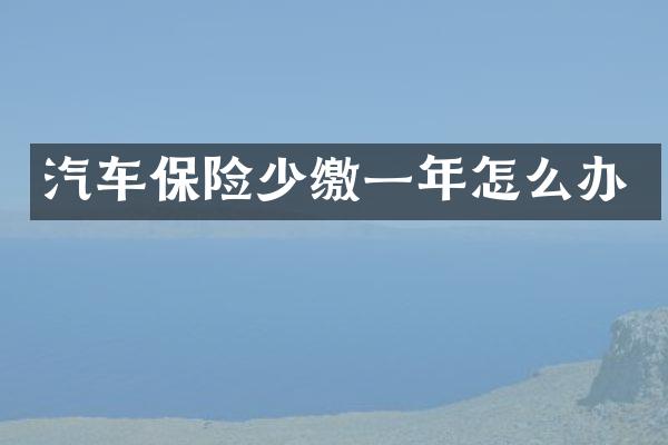 汽车保险少缴一年怎么办