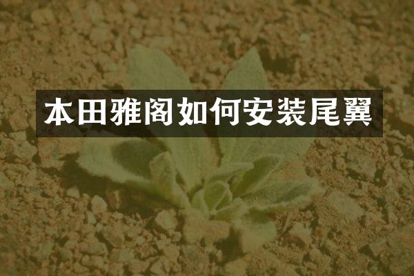 本田雅阁如何安装尾翼