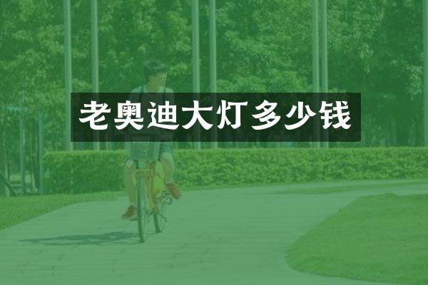 老奥迪大灯多少钱