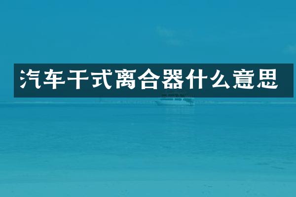 汽车干式离合器什么意思