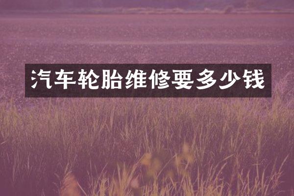 汽车轮胎维修要多少钱