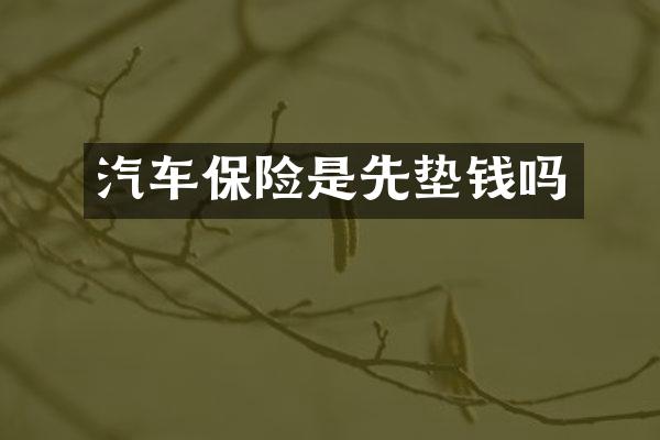 汽车保险是先垫钱吗