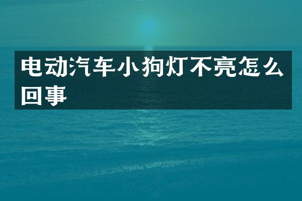 电动汽车小狗灯不亮怎么回事