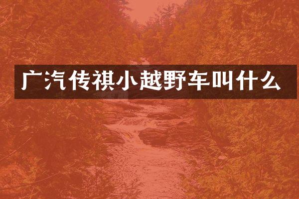 广汽传祺小越野车叫什么