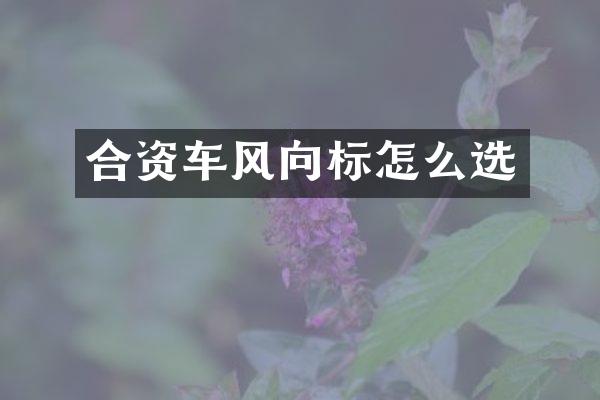 合资车风向标怎么选