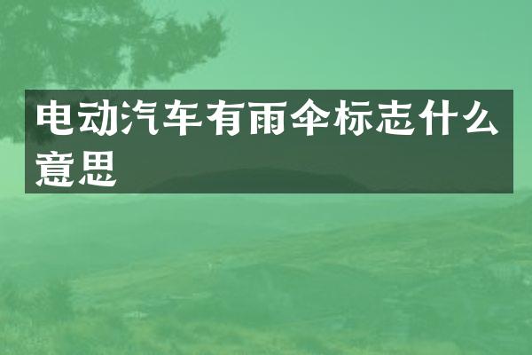 电动汽车有雨伞标志什么意思