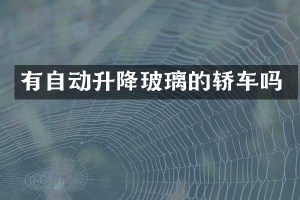 有自动升降玻璃的轿车吗