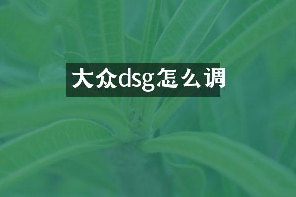 大众dsg怎么调