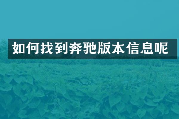 如何找到奔驰版本信息呢