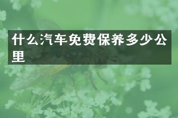 什么汽车免费保养多少公里