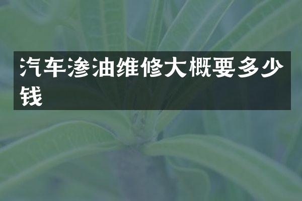 汽车渗油维修大概要多少钱